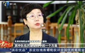 天津电视台新闻频道报道必赢官网与新城镇党建引领智慧助老工作